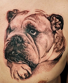 Bulldog Portrait — Realism tattoo by Jessica