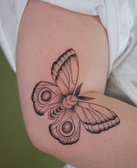 Luna Moth — Fine Line tattoo by Emma