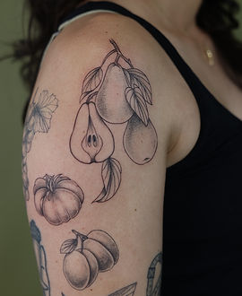 Orchard Study — Illustrative tattoo by Emma